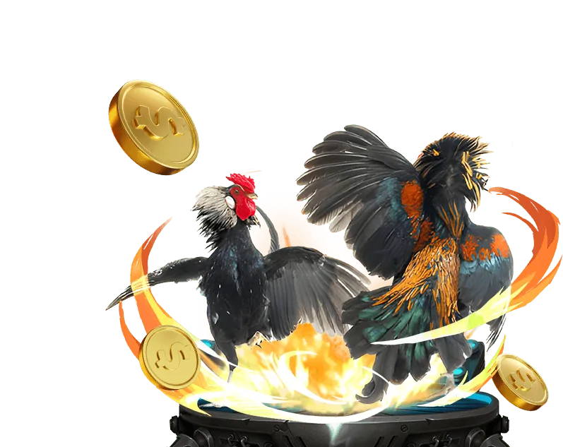 Các kênh hỗ trợ chính của 88clb